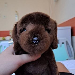 Telegram profile photo for перешли на другой тгк