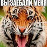 Telegram profile photo for сыр по тыще