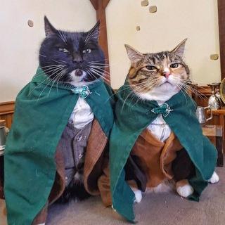 Telegram profile photo for Славянка вещает