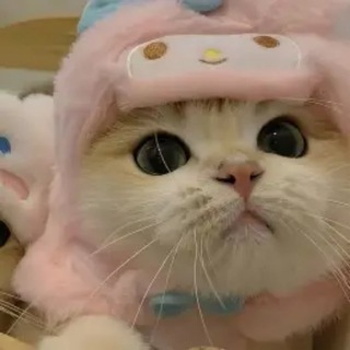 Telegram profile photo for MeowLeak | @meowleak1