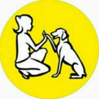 Telegram group profile photo for Sunnydog центр обучения владельцев собак