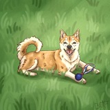 Telegram profile photo for рыжий,но не хатико🍁(рест)