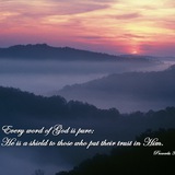 Telegram profile photo for Deeper Studies of God's Word