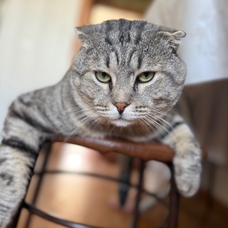 Telegram profile photo for Надо брать! (блок 11а)