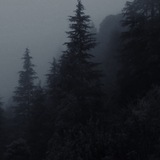 Telegram profile photo for ᴀdᴀᴩᴛᴇr