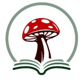 Telegram profile photo for Amanita Muscaria Institut 🍄