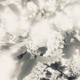 Telegram profile photo for Tänään ja ensi viikkona