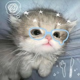Telegram profile photo for 初屿の投稿社