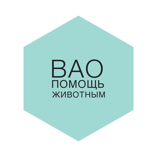 Telegram profile photo for ИЗМАЙЛОВО: помощь животным (кошки, собаки, птицы и пр.)
