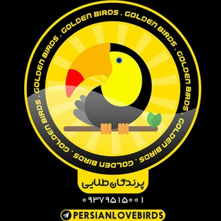 Telegram profile photo for 💛Golden Birds💛