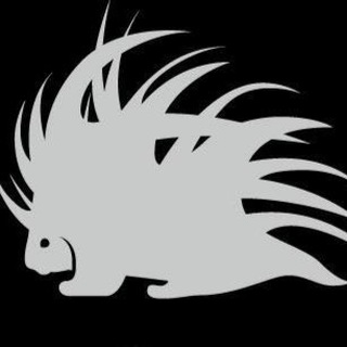 Telegram profile photo for Дикобраз