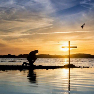 Telegram profile photo for Predige das Evangelium