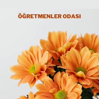 Telegram group profile photo for ÖĞRETMENLER ODASI