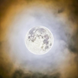 Telegram profile photo for سرزمین ماه 🌘