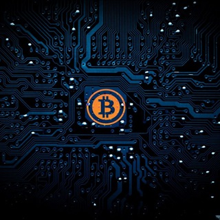 Telegram profile photo for Signals & Copytrading BingX π