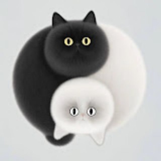 Telegram profile photo for 【比特币峰哥】唯一频道