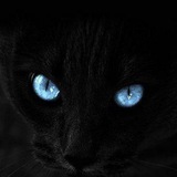 Telegram profile photo for soul sanctum✨