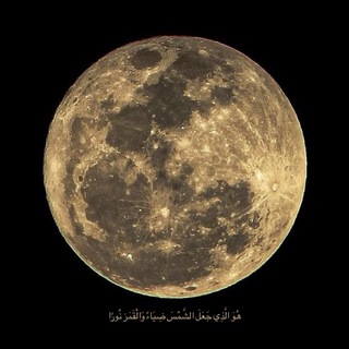 Telegram profile photo for الوَرِيد