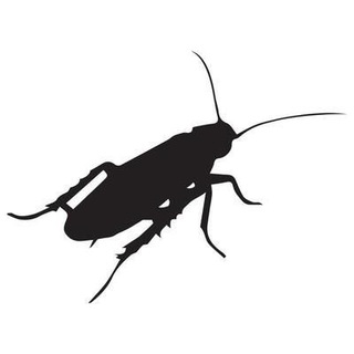 Telegram profile photo for R.I.F / Roach Ideas Foundation