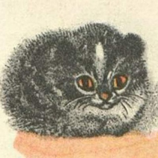 Telegram profile photo for соль земли