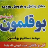 Telegram profile photo for اطلاعات بوقلمون نگین شمال