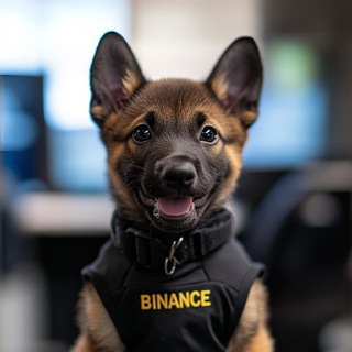 Telegram profile photo for Baby Broccoli