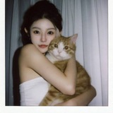 Telegram profile photo for 奶兔的猫窝