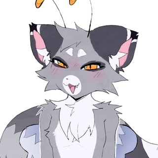 Telegram profile photo for RACCOON LOVE