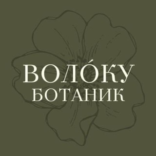 Telegram profile photo for Volóku botanic | Цветы | СПб