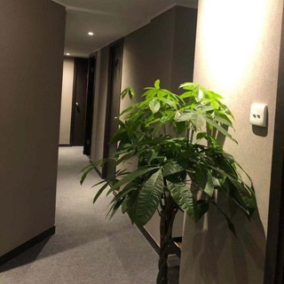 Telegram profile photo for 戀 spa(尖沙咀)