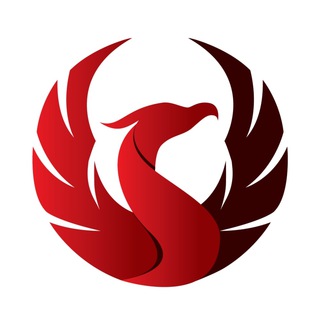 Telegram profile photo for Newation