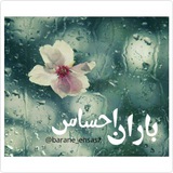 Telegram profile photo for باران احساس🍃🌸☔