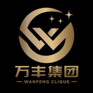 Telegram profile photo for 万丰集团(备用频道)