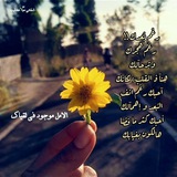 Telegram profile photo for تصاميم 'عندليب 📚