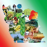 Telegram profile photo for دانش کشاورز (مهندس زارع )