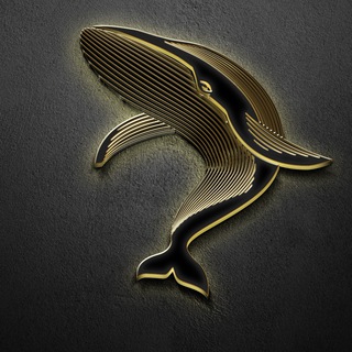 Telegram profile photo for Bull Whale Investments