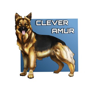 Telegram profile photo for CLEVER_AMUR