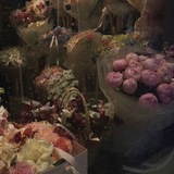 Telegram profile photo for %