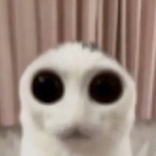 Telegram profile photo for Аоиками 2.0