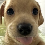 Telegram profile photo for владмеф отзыв