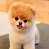 Telegram profile photo for иван42