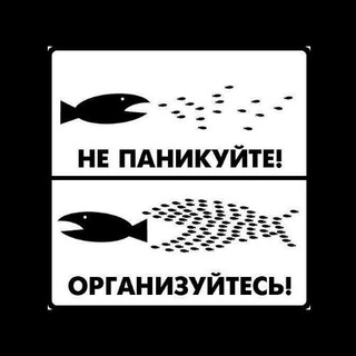 Telegram profile photo for История, религия, настоящее, факты