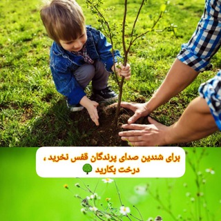 Telegram profile photo for سەرچاوە سروشتیەکانی کوردستان