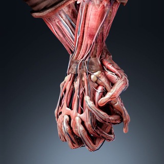Telegram profile photo for Final & Med - questions