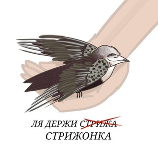Telegram profile photo for Little Swift