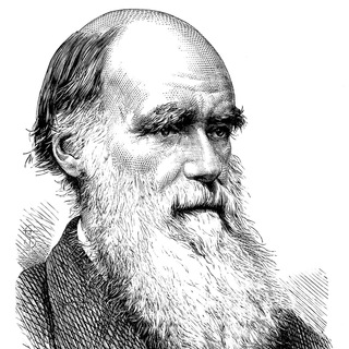 Telegram profile photo for Darwin
