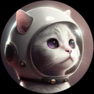 Telegram profile photo for Ton Cat Journey