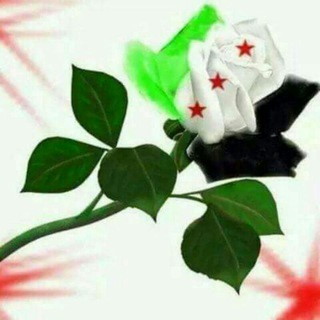 Telegram profile photo for حلات واتس آب حب و حزينة
