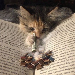 Telegram profile photo for Твой книжный дилер