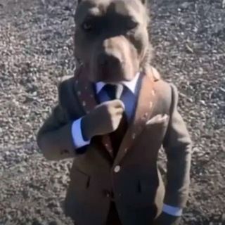 Telegram profile photo for Фанат млп честна